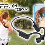 aeerum avis
